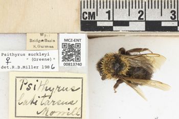 Media type: image;   Entomology 813740 Aspect: labels